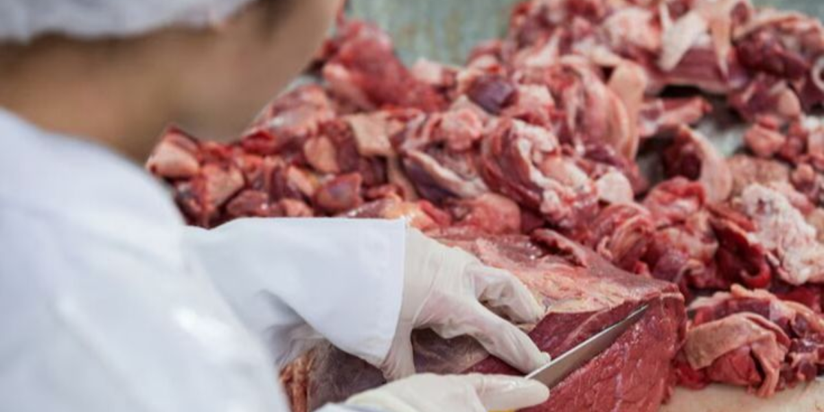 cara pembagian daging kurban sesuai syariat islam